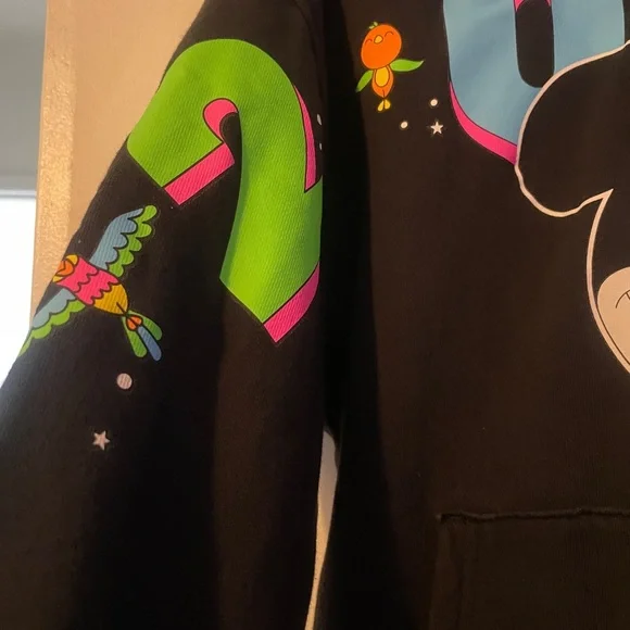 Disneyland 2024 Mickey Mouse Hoodie (XS Adults, Black-Pre-Owned) - Picture 5 of 7